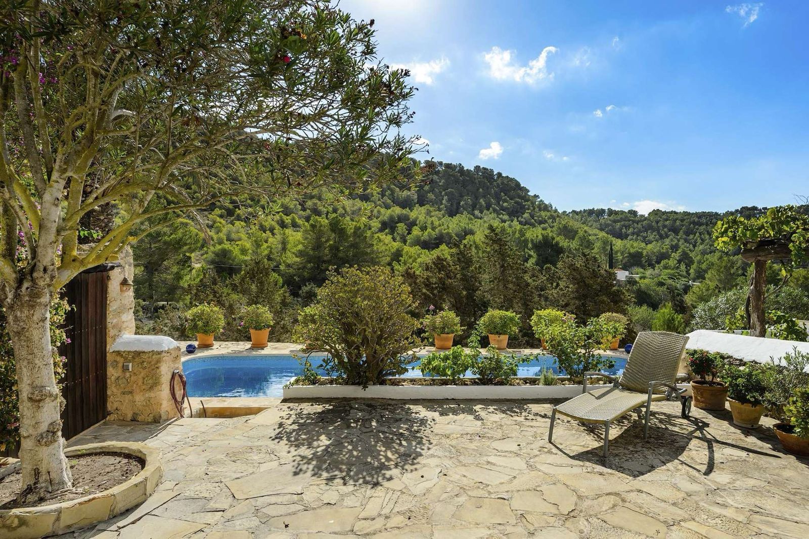 Finca Sunstone — Photo 32