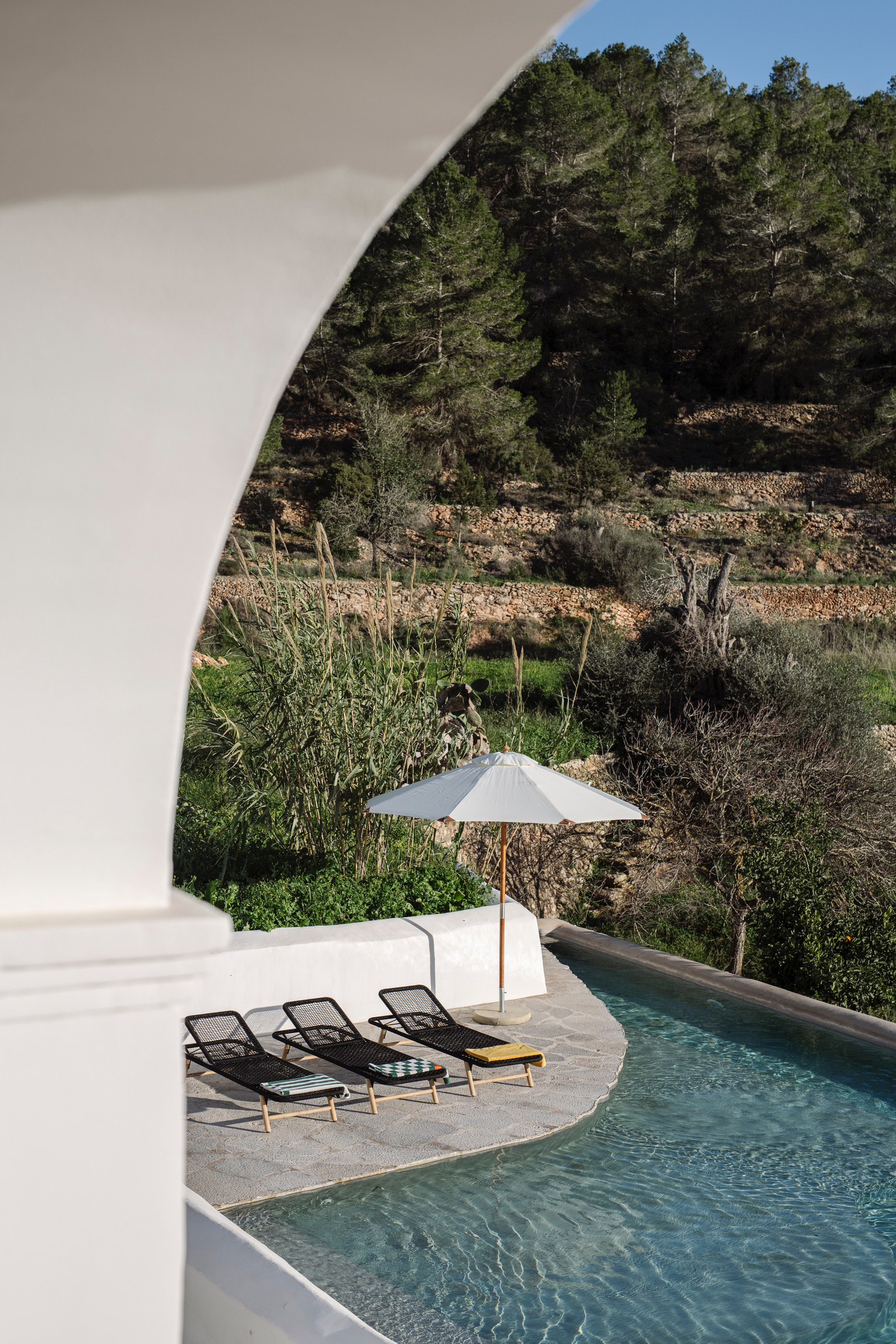 Finca Kelly — Photo 27