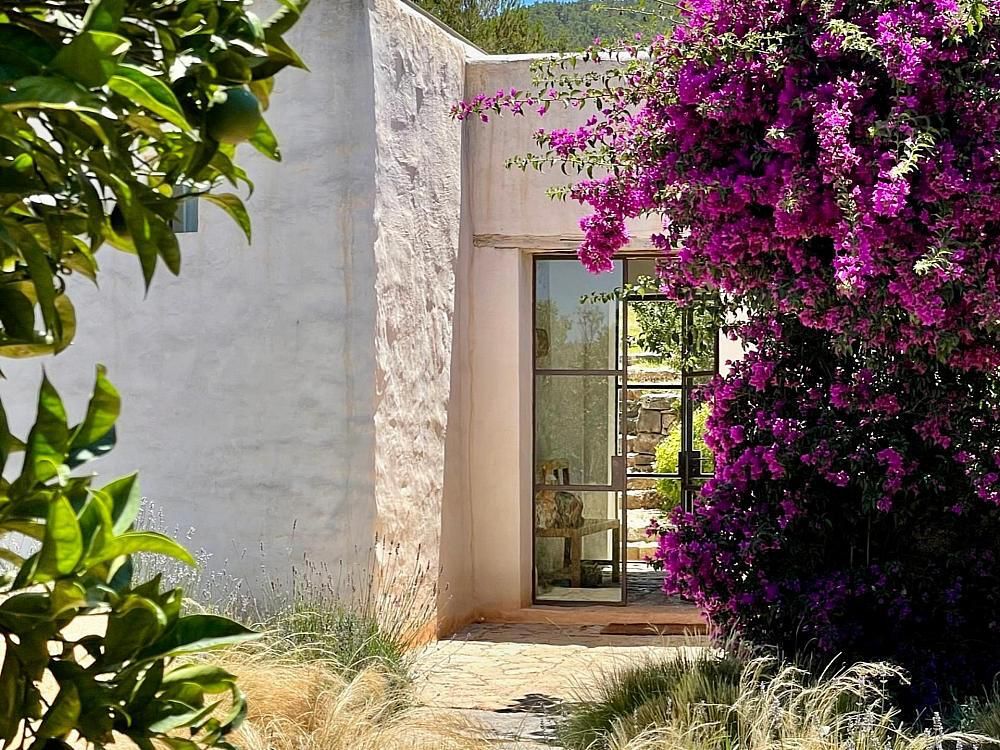 Finca Sabina Alta — Photo 15