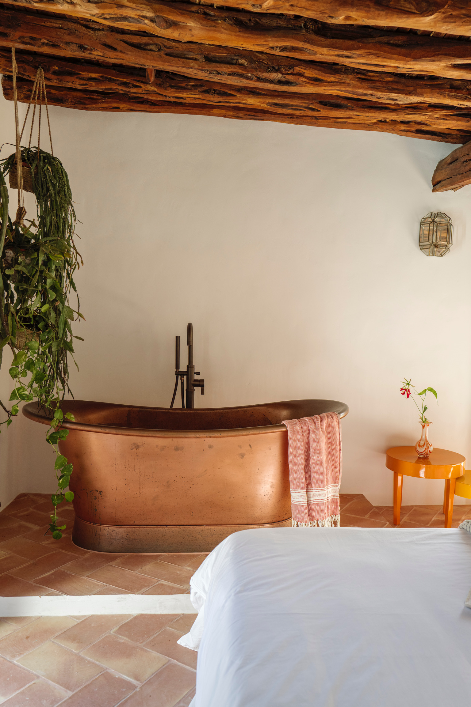 Finca Kelly — Photo 4
