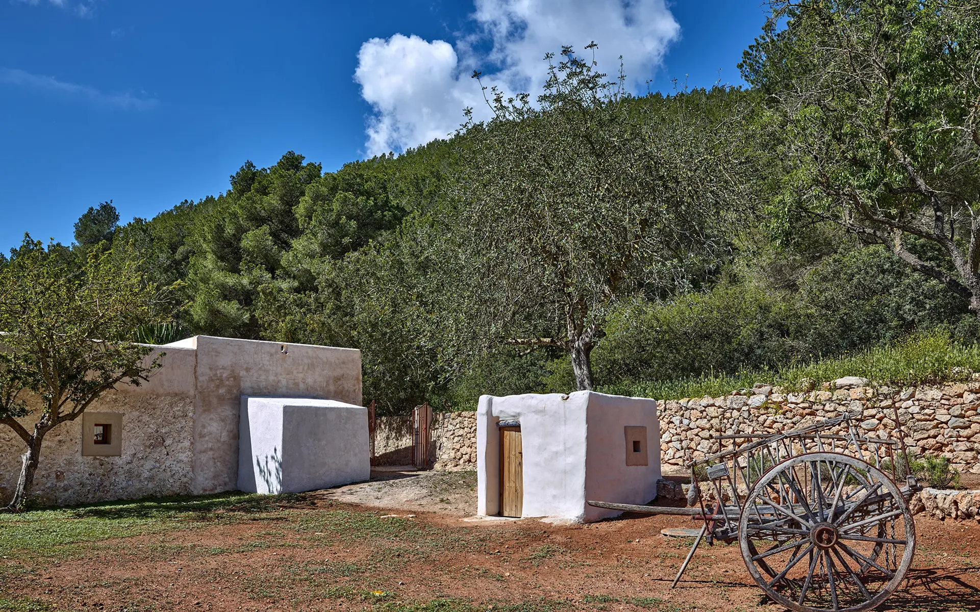 Finca Dolores — Photo 24