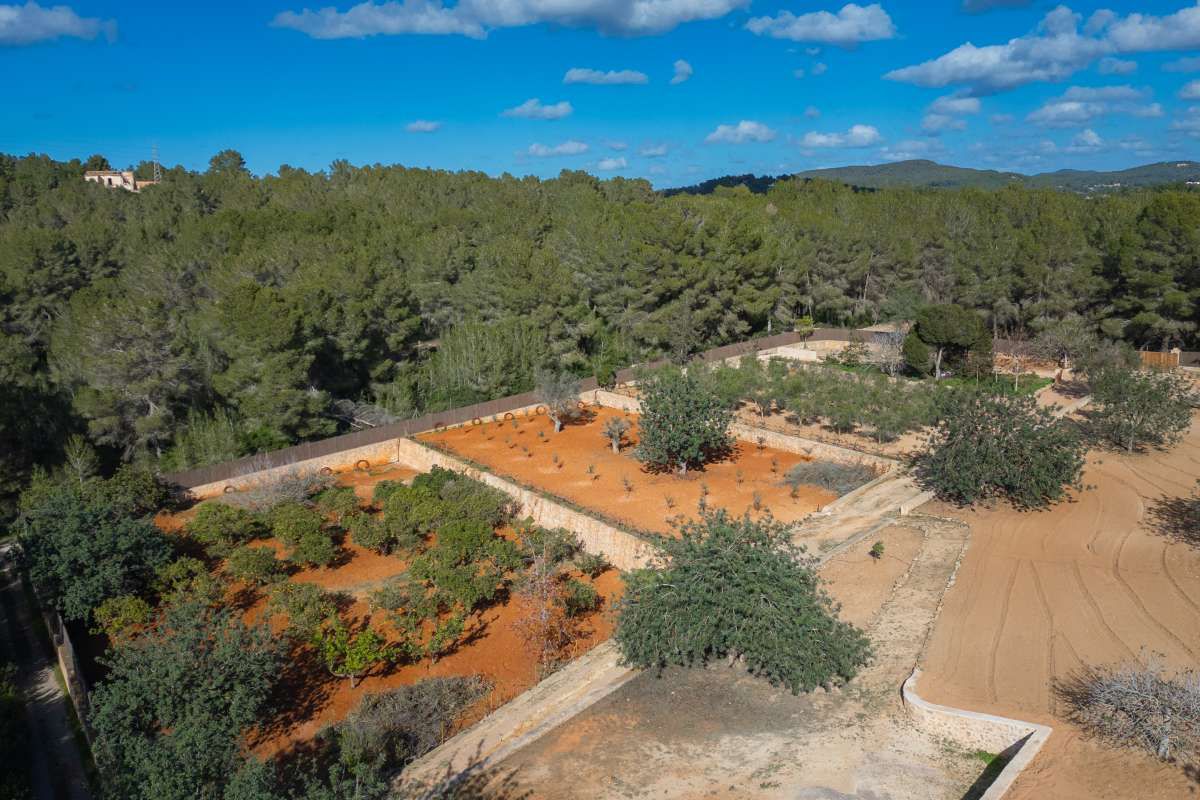 Finca San Lorenzo — Photo 2