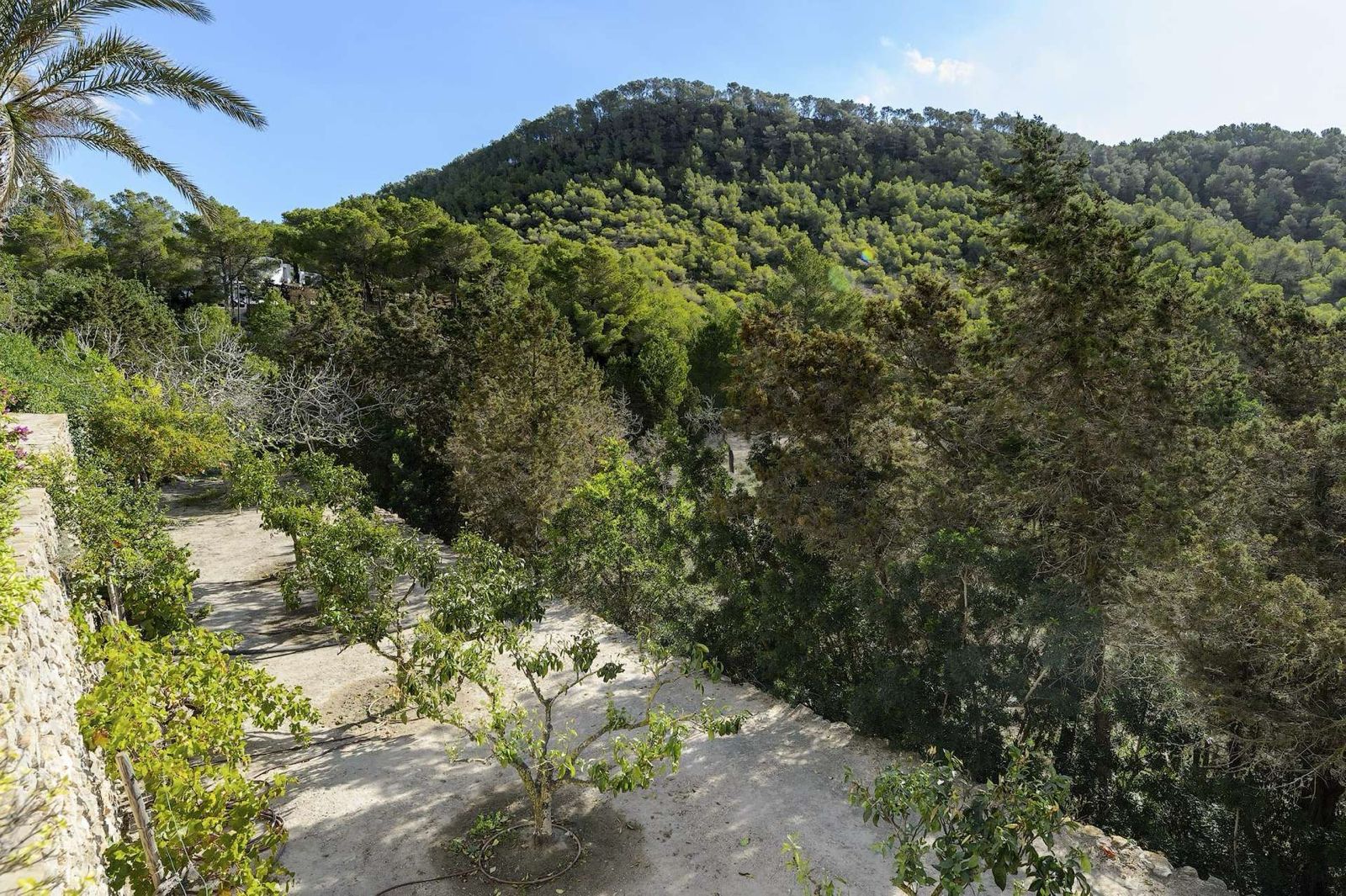 Finca Sunstone — Photo 2