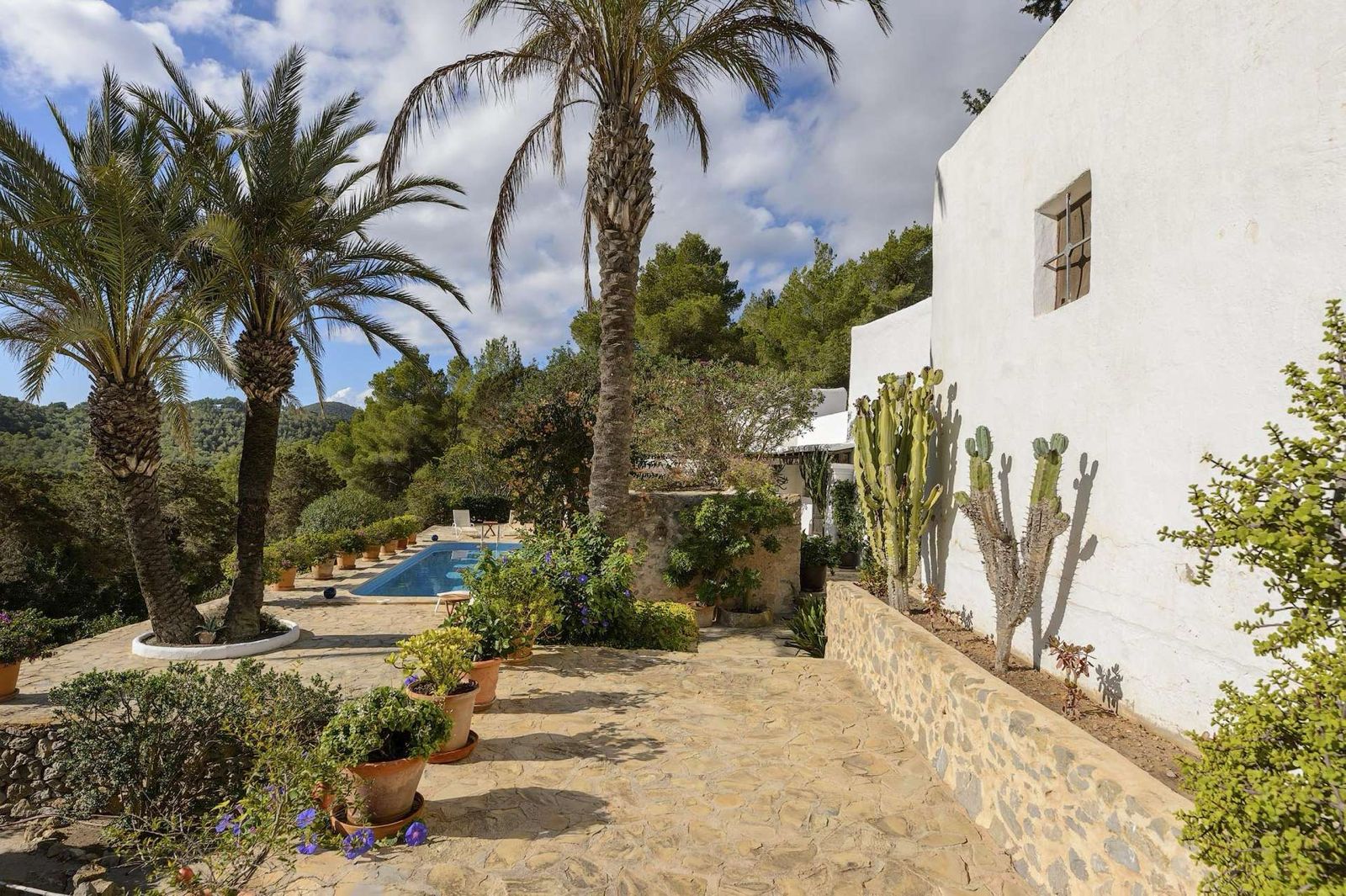 Finca Sunstone — Photo 8