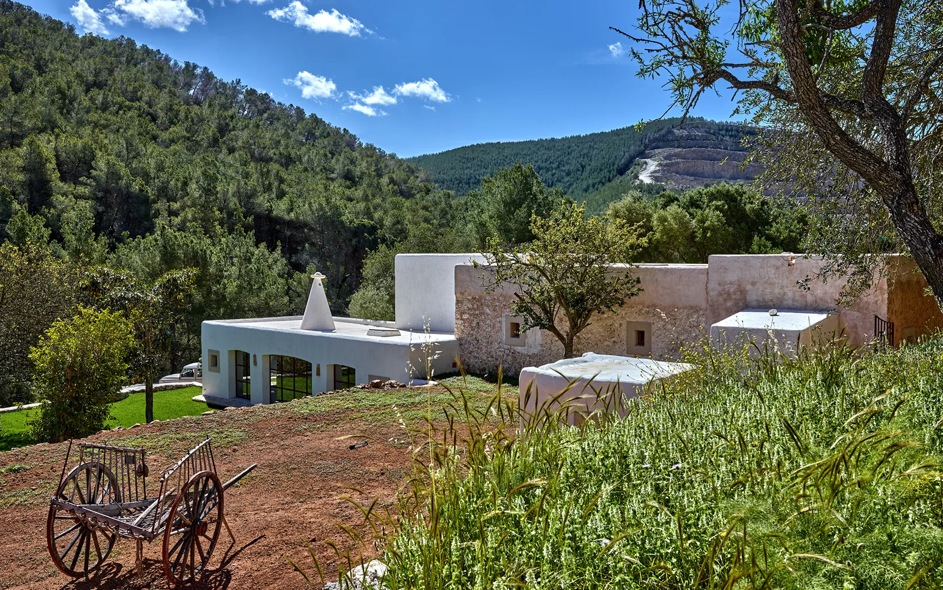 Finca Dolores — Photo 22