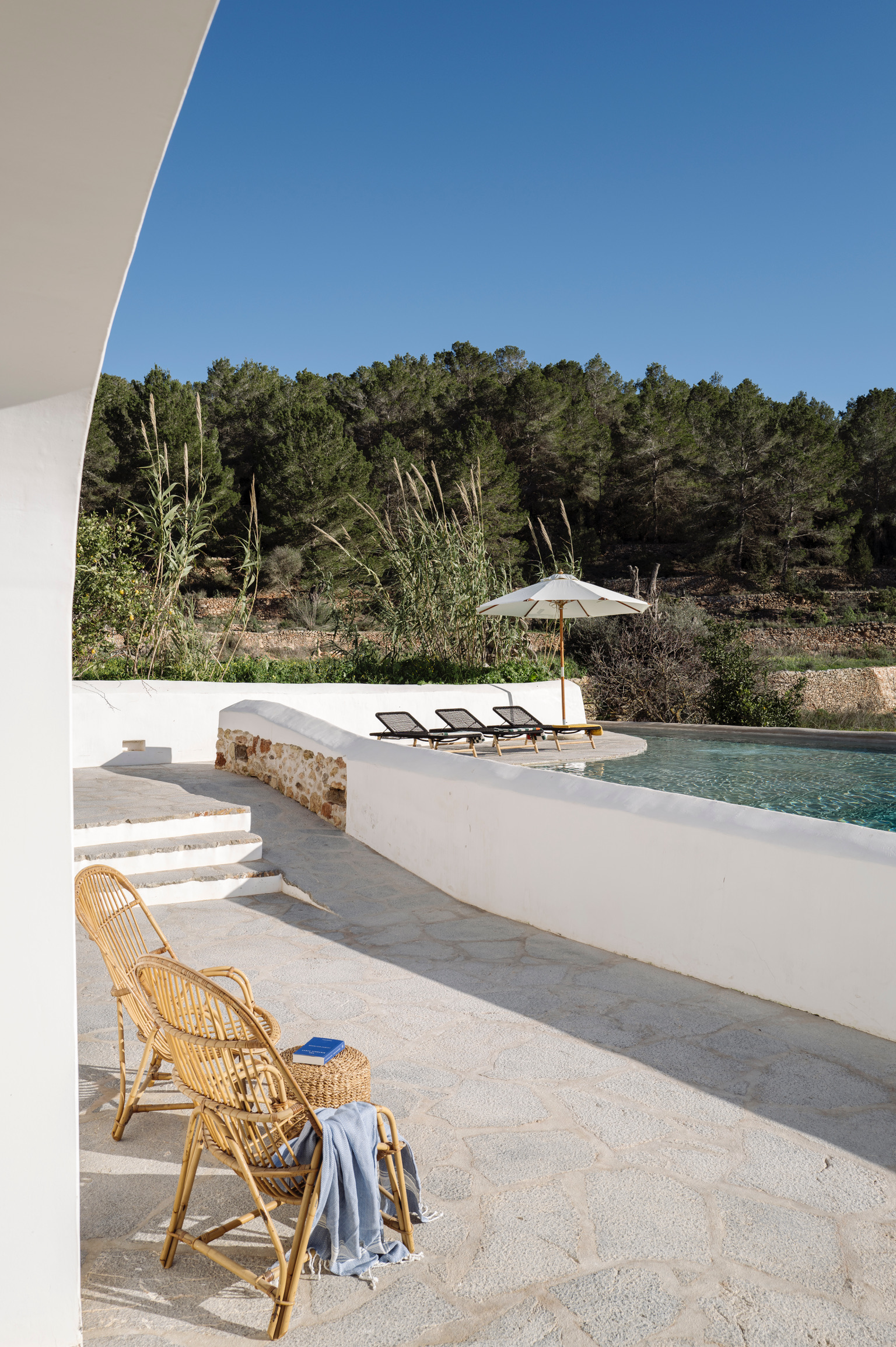 Finca Kelly — Photo 37