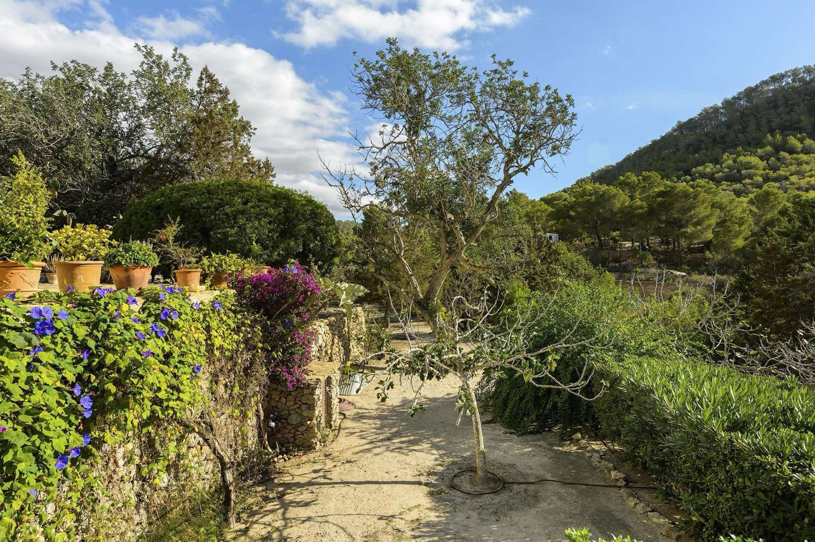 Finca Sunstone — Photo 3