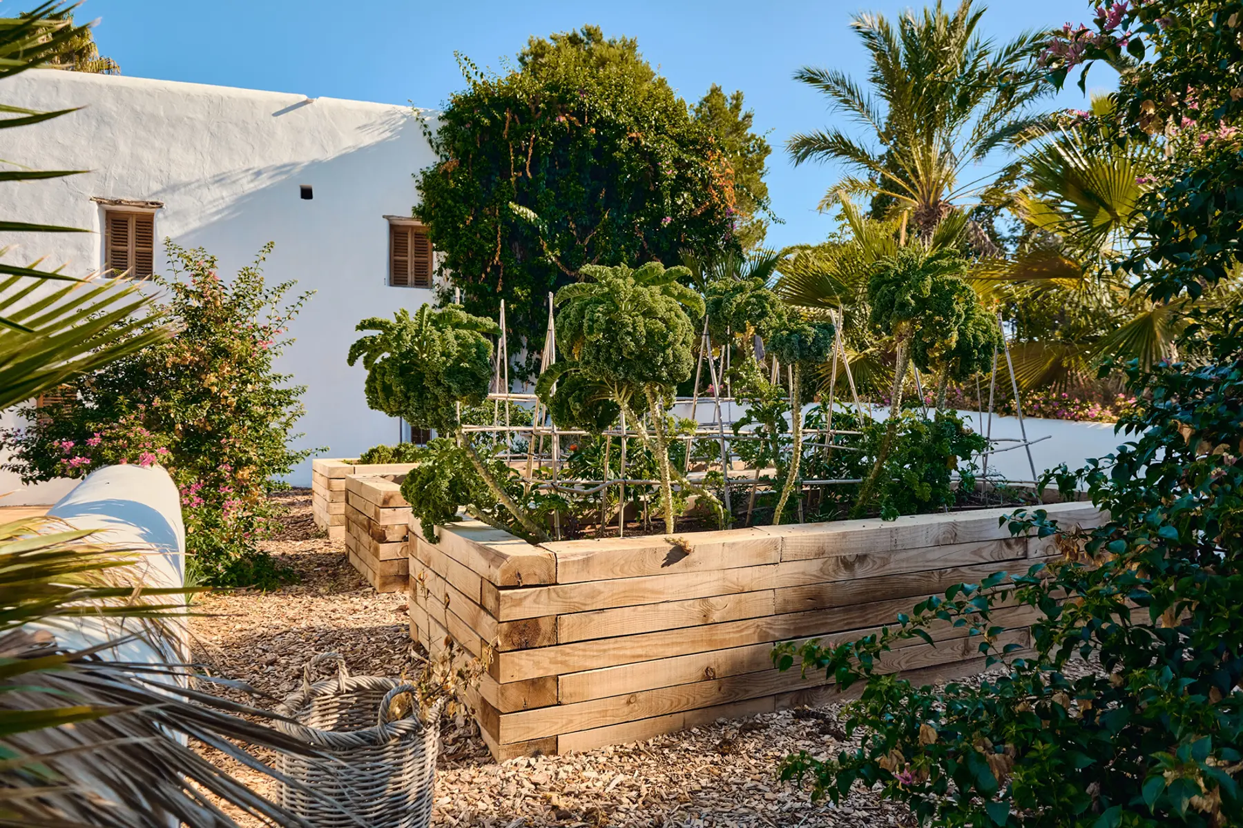 Finca Rafaella — Photo 14
