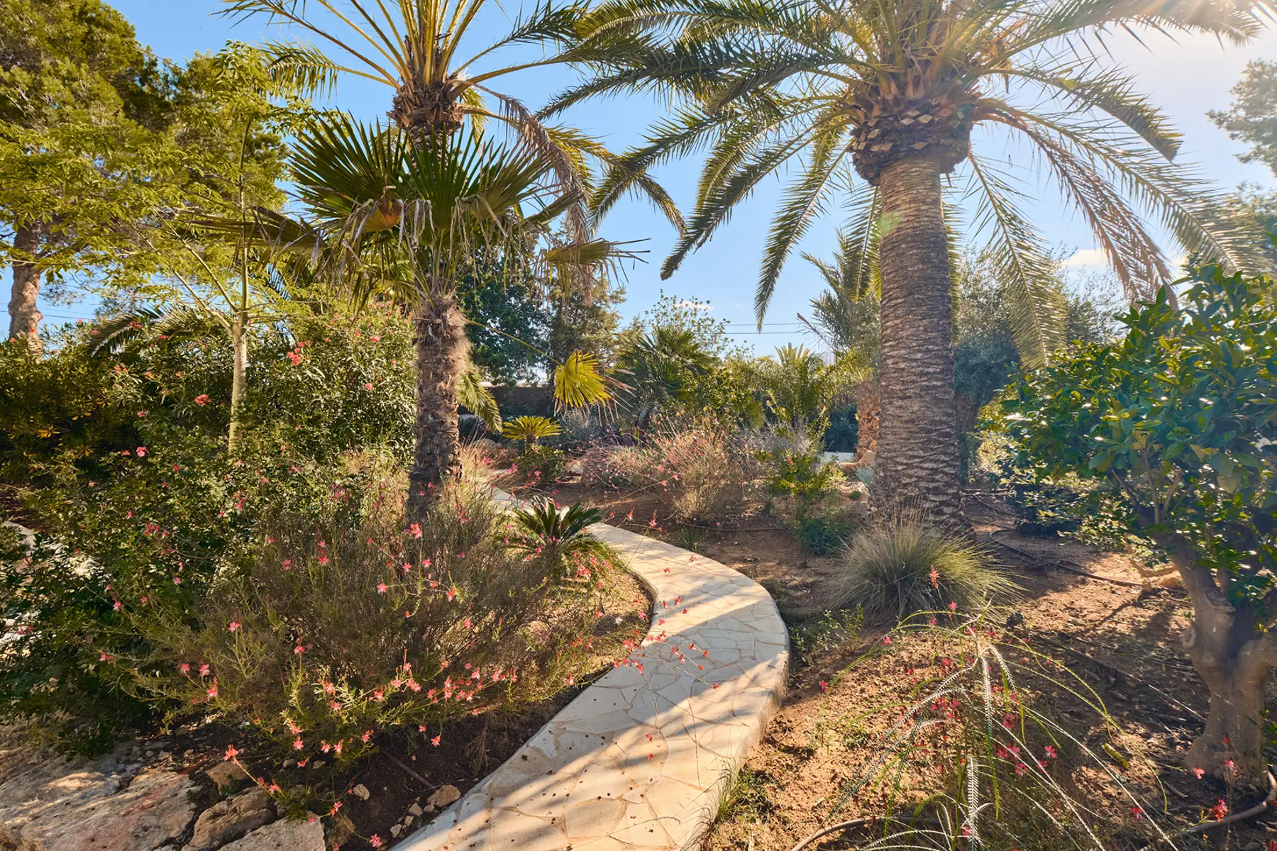 Finca Rafaella — Photo 13