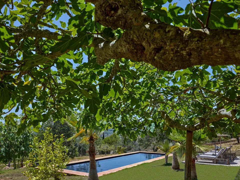 Villa Gertrudis — Photo 44