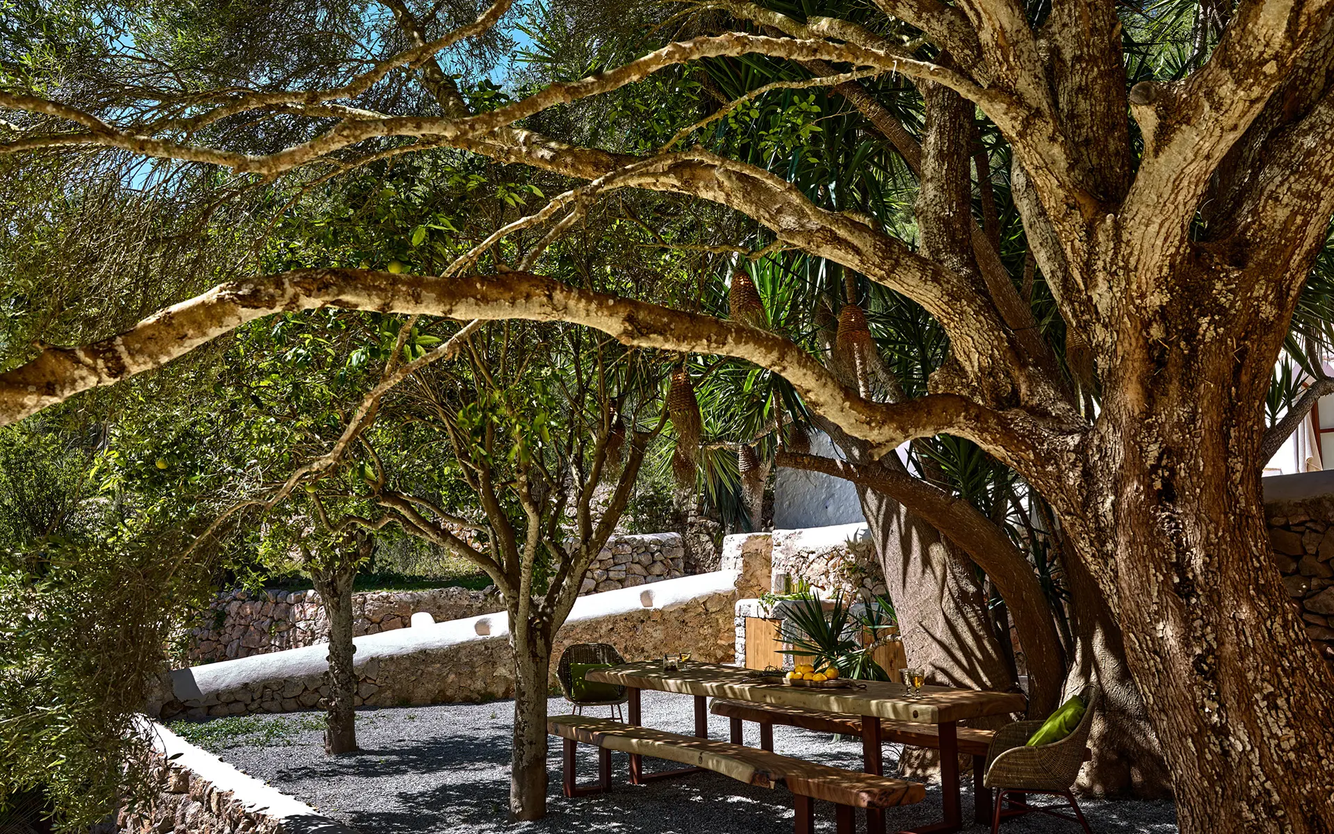 Finca Dolores — Photo 11