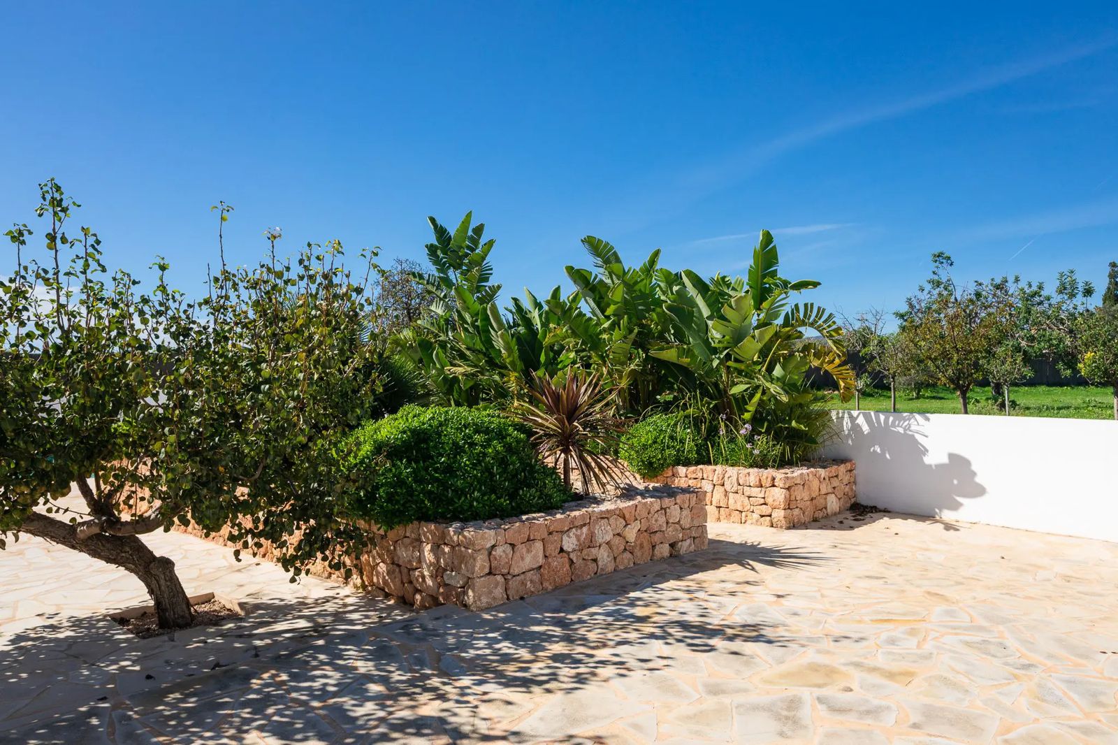 Finca San Jordi — Photo 7