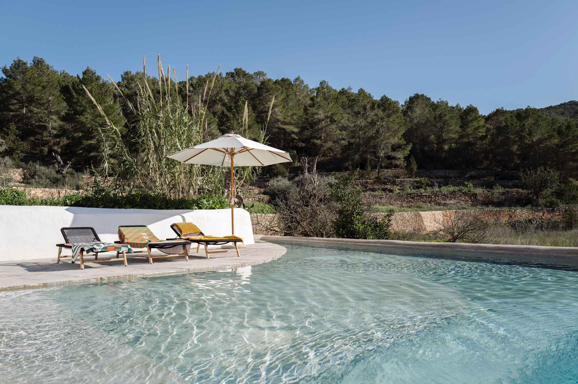 Finca Kelly — Photo 17