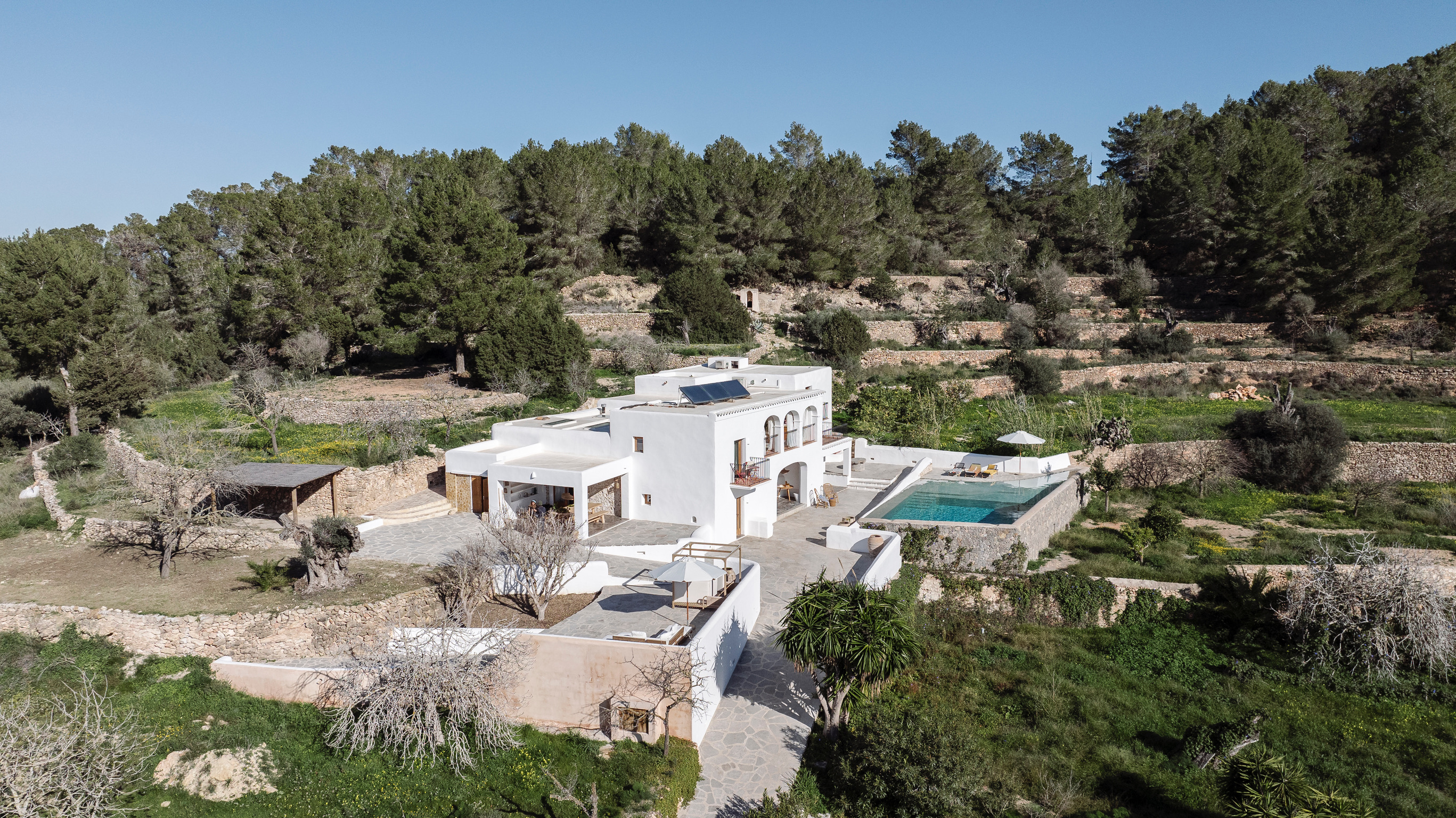 Finca Kelly — Photo 22