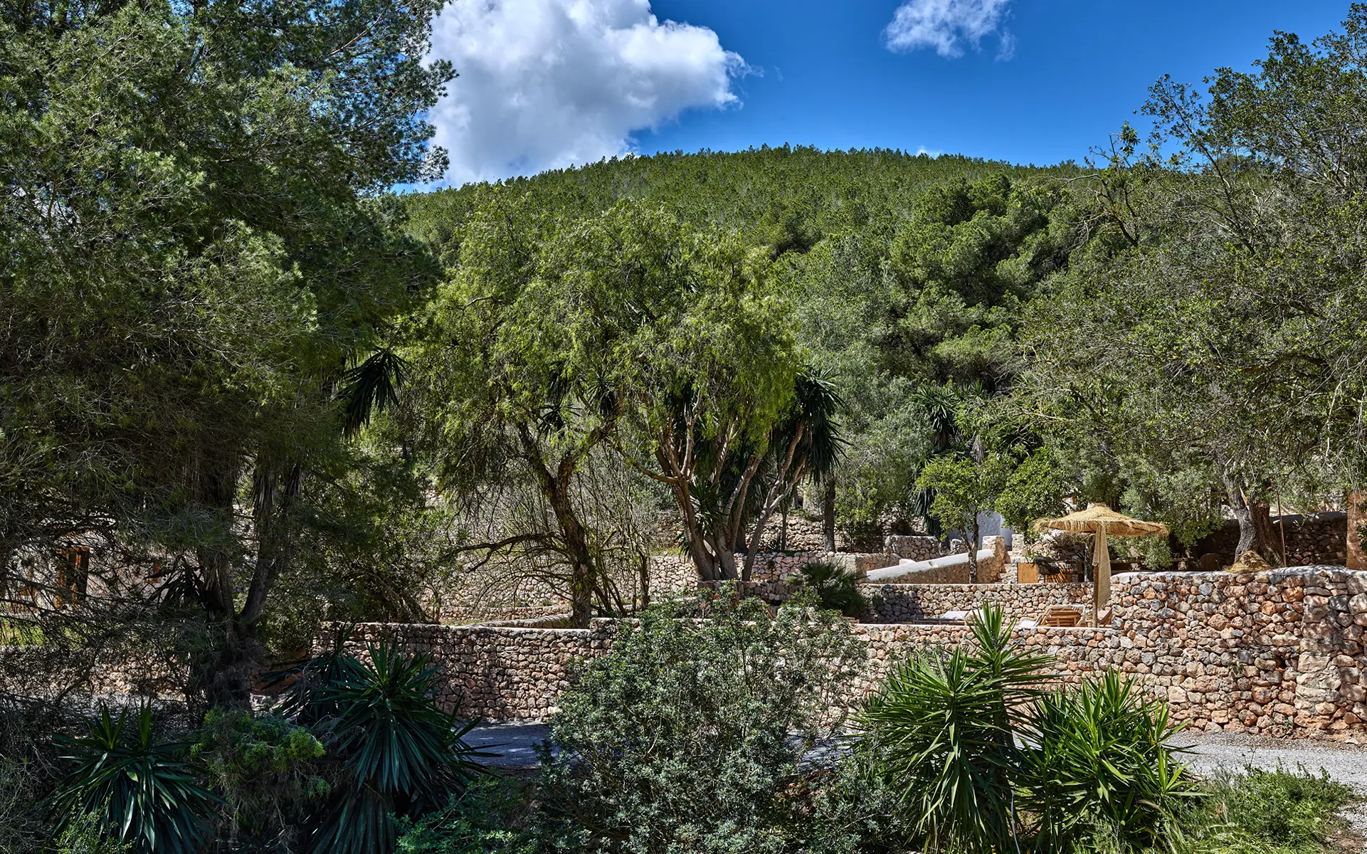 Finca Dolores — Photo 27