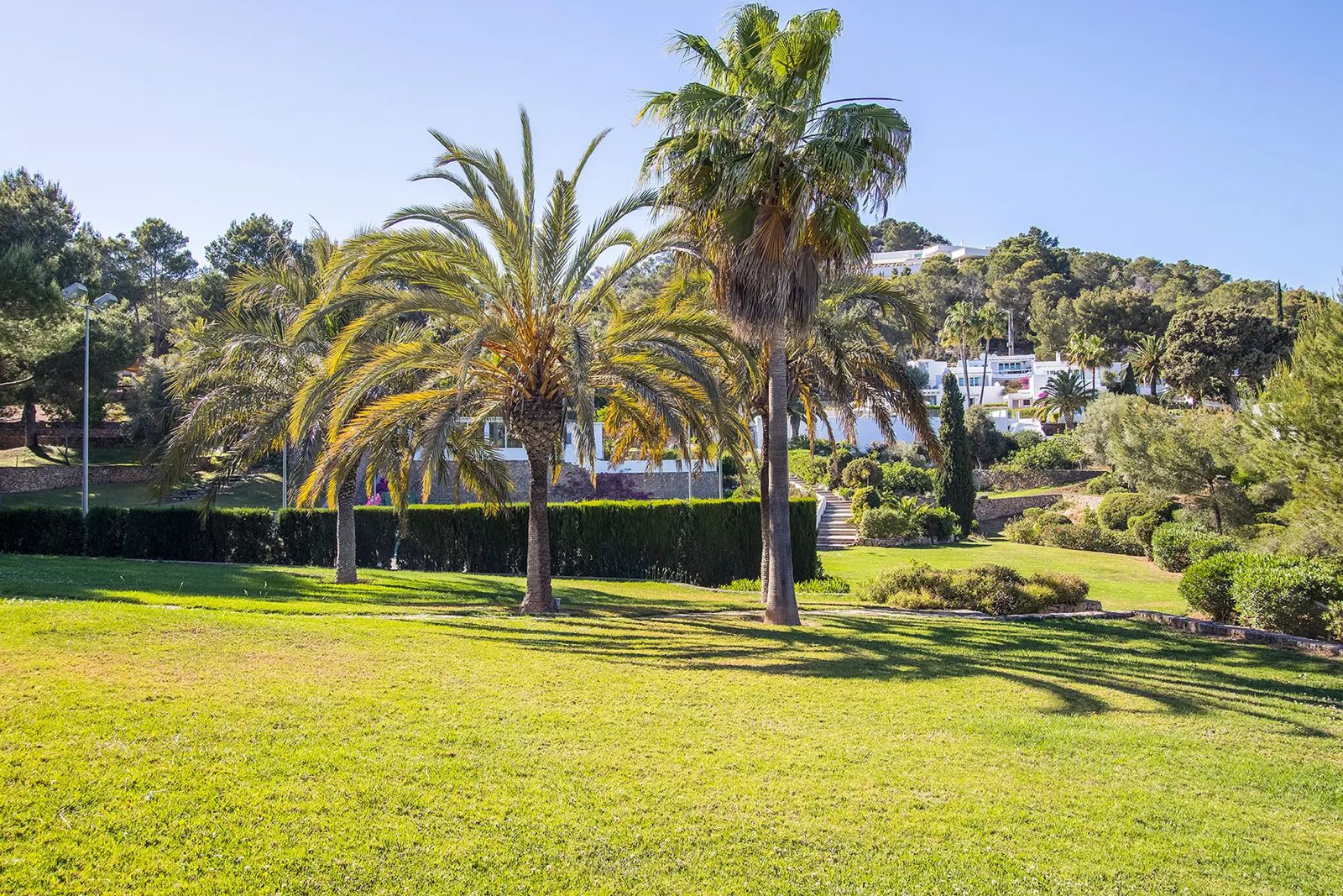 Villa Valeria — Photo 11
