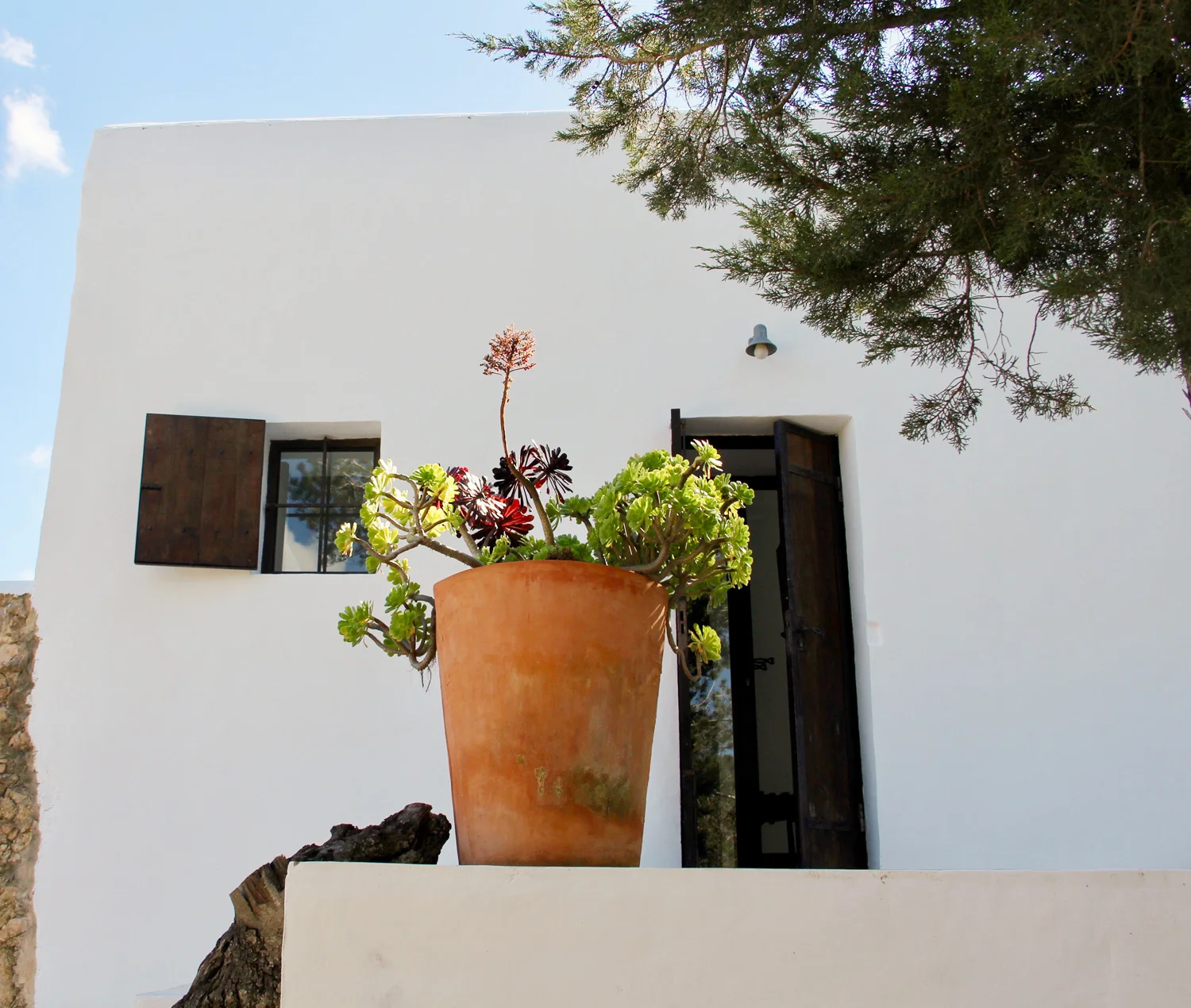 Finca Michele — Photo 29