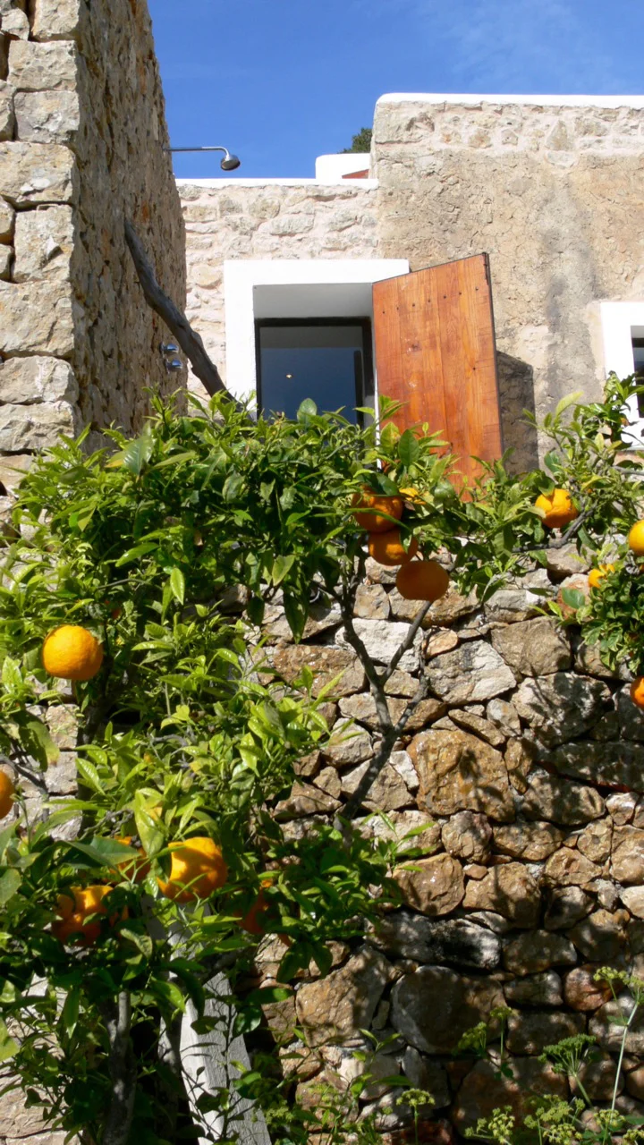 Finca Michele — Photo 17
