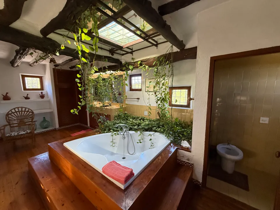 Finca Anita — Photo 17