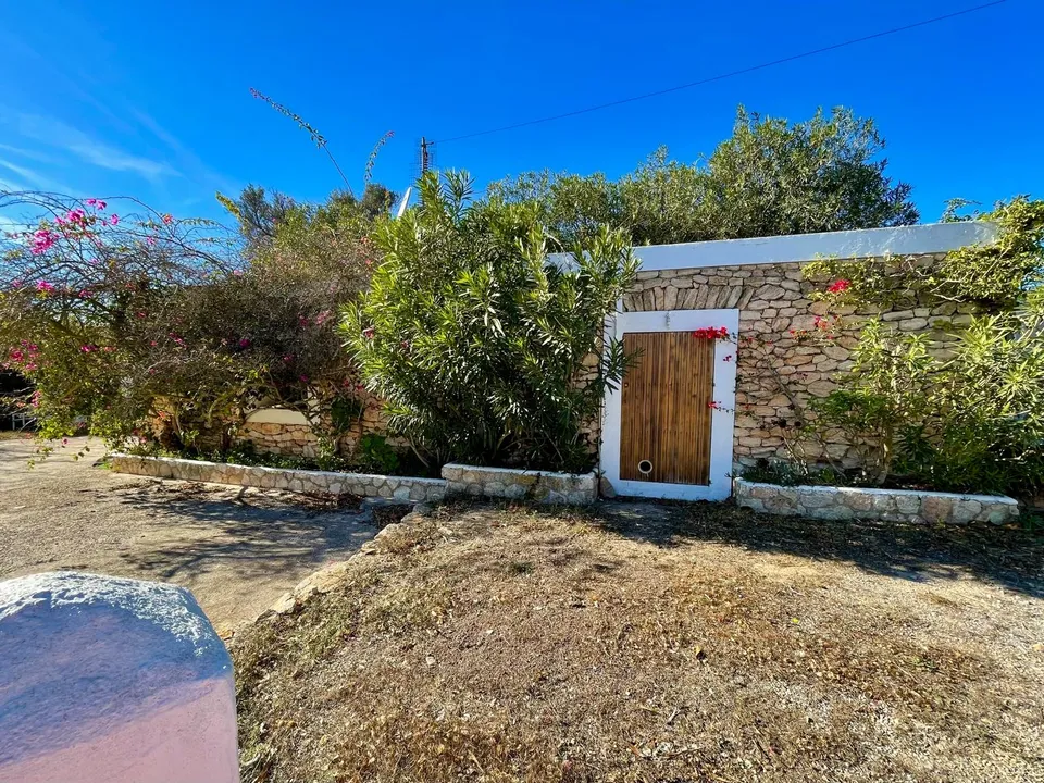 Finca Anita — Photo 2