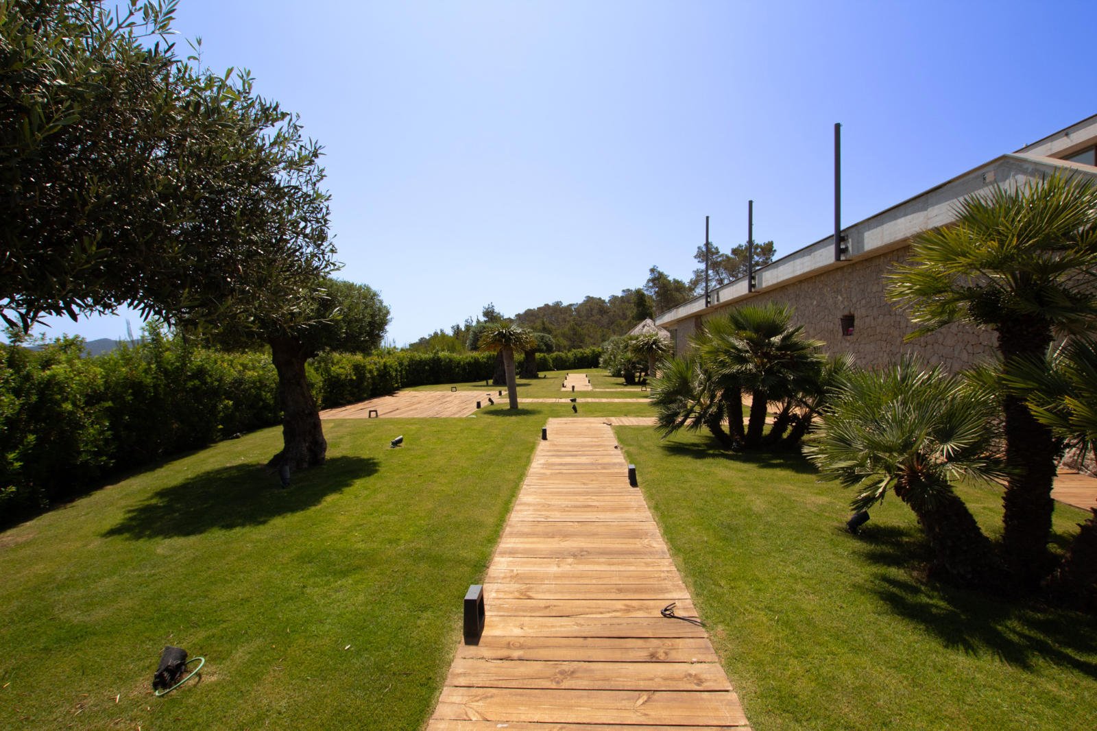 Villa Sofia — Photo 10