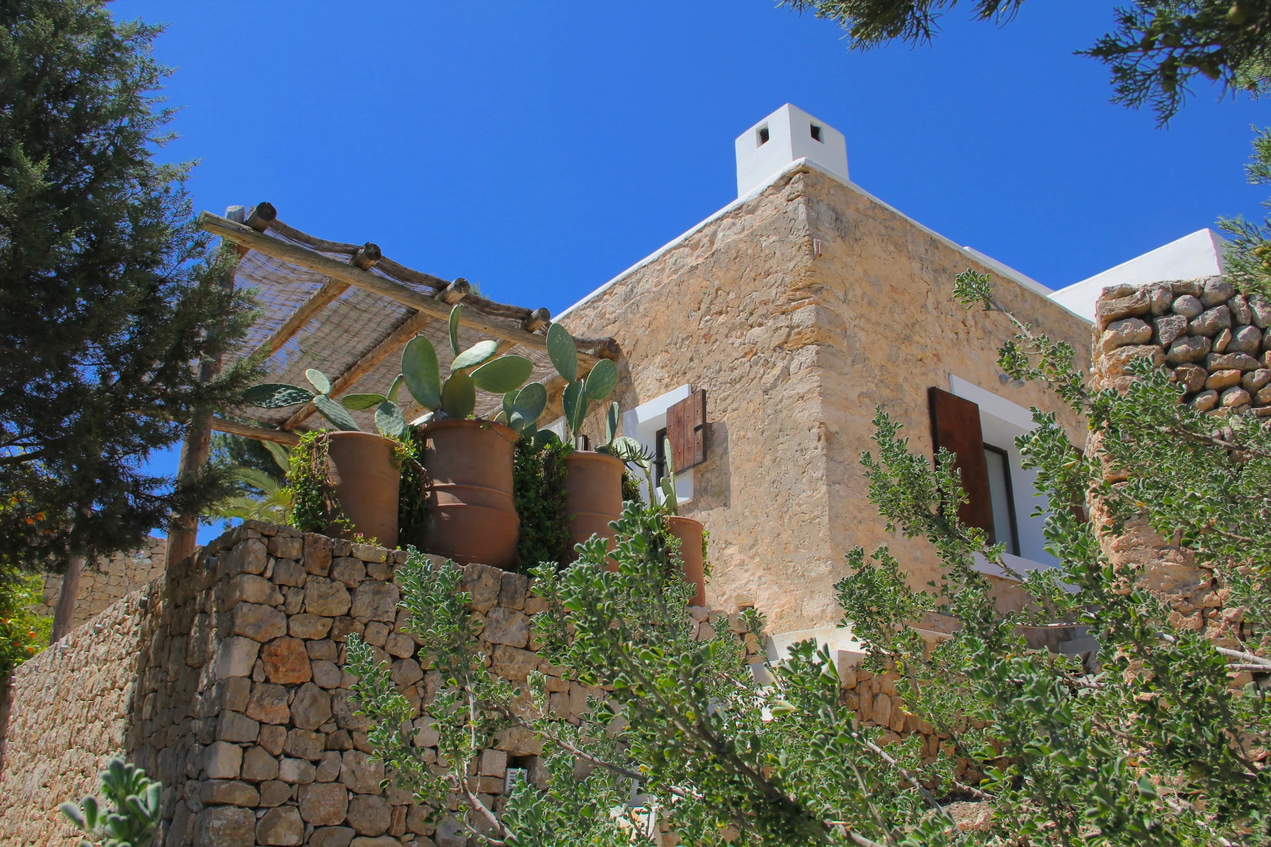 Finca Michele — Photo 4