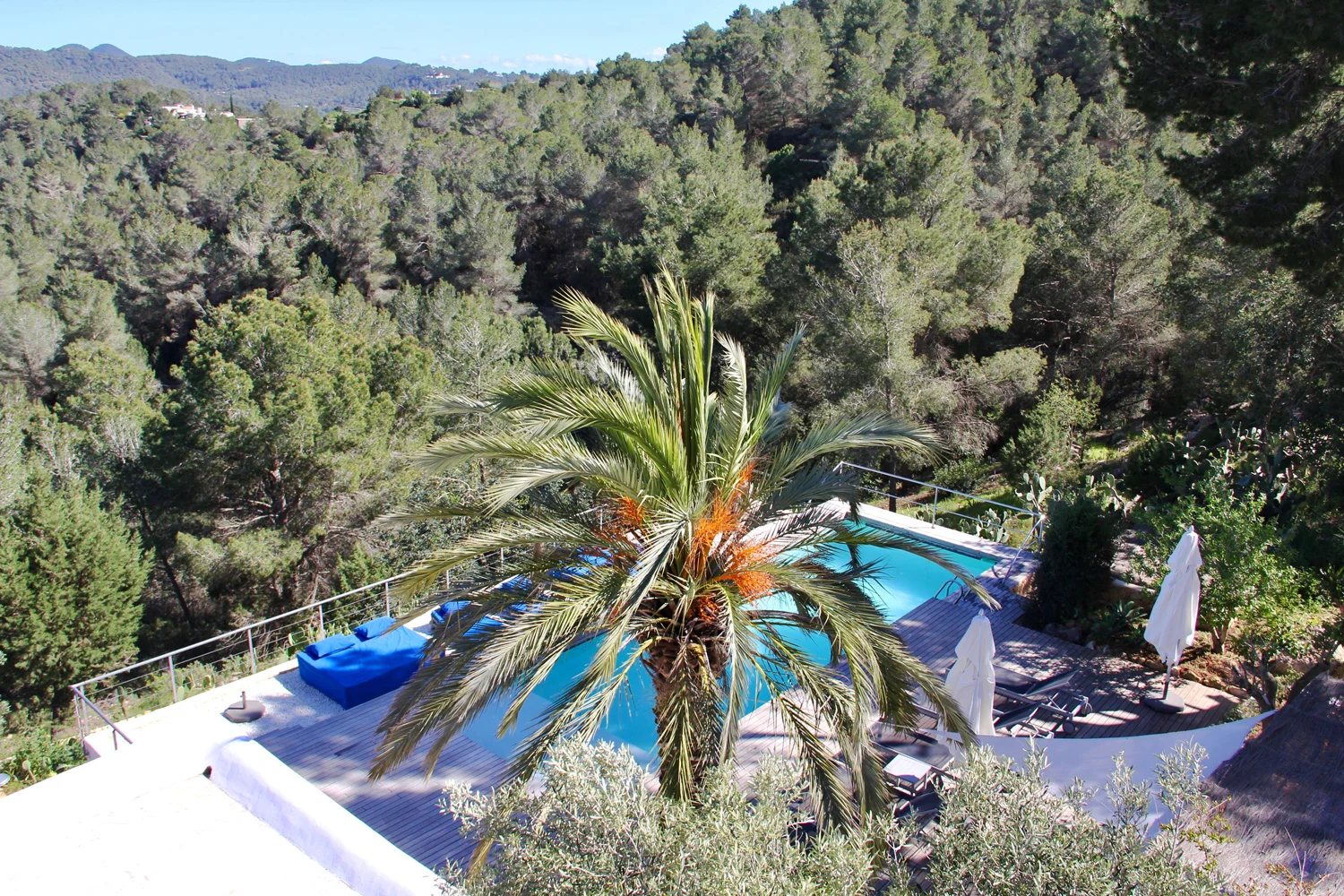 Finca Michele — Photo 8