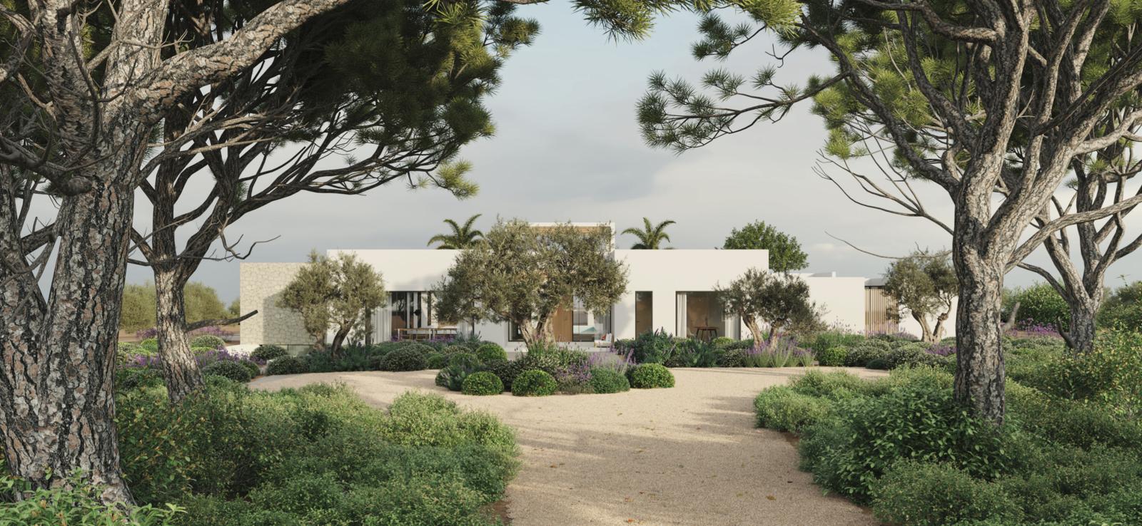 Plot Arabia — Photo 11