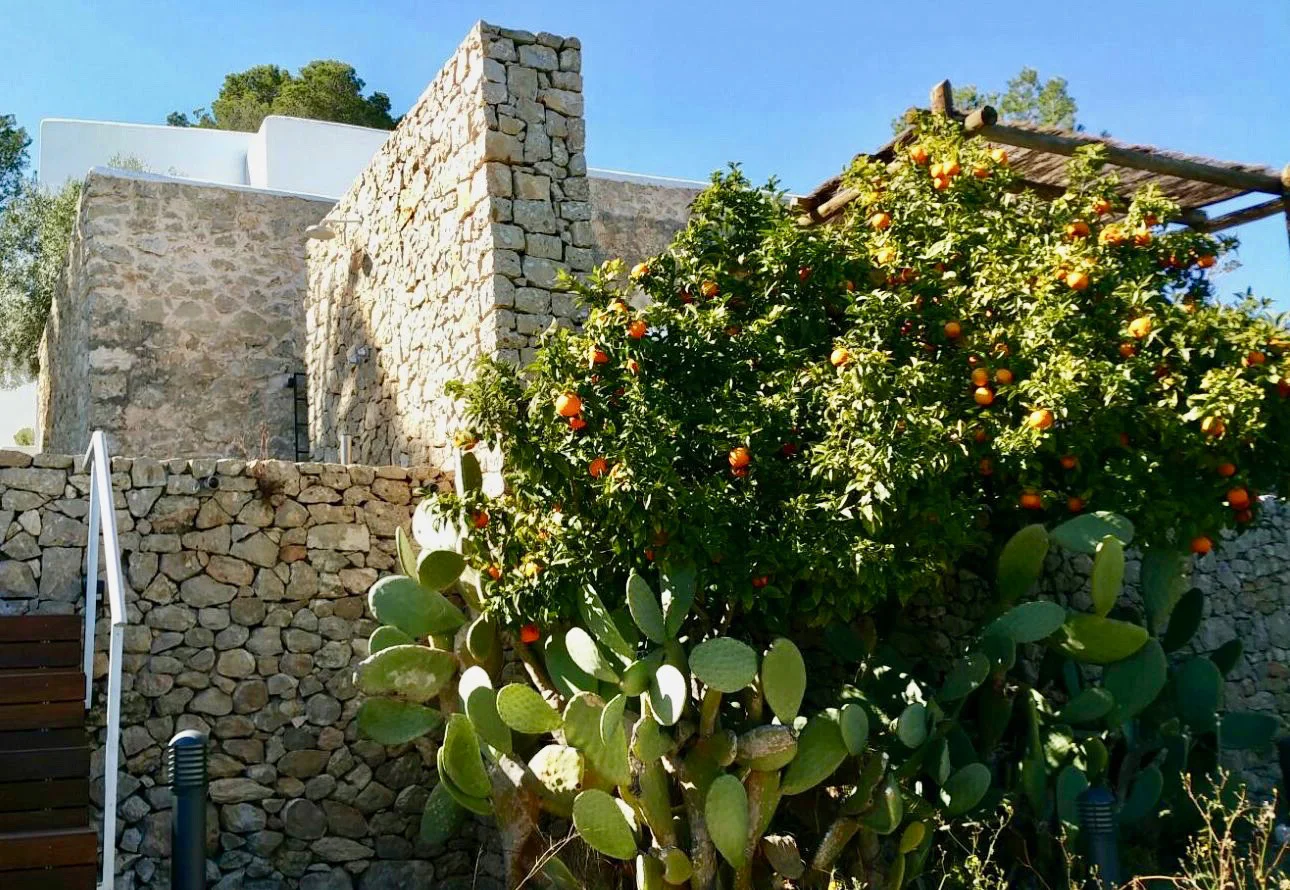 Finca Michele — Photo 30